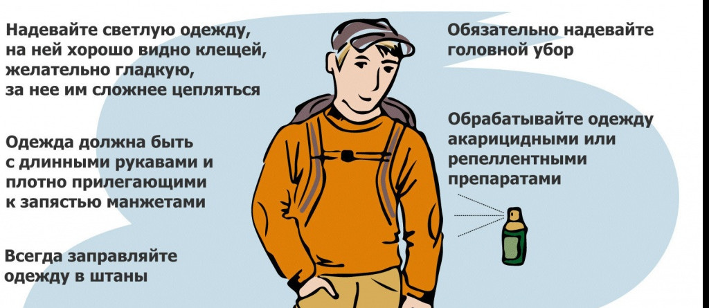 Правила защиты от укусов клещей - безопасность на природе